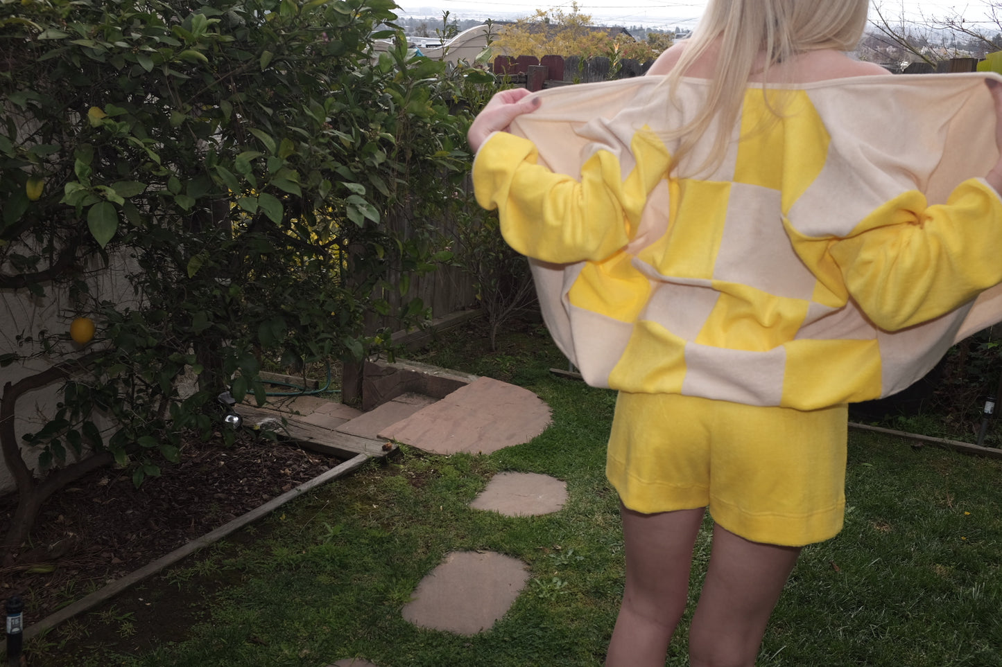 Lu - Lemon Biscuit